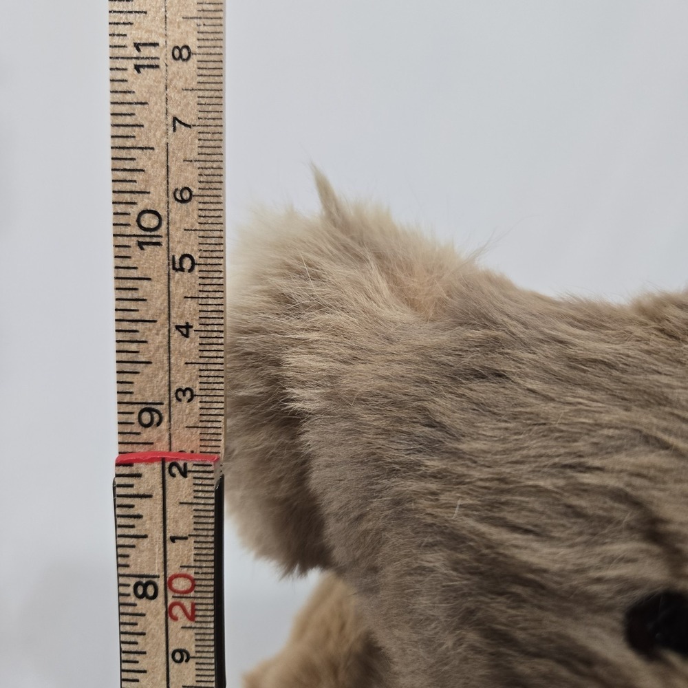Two Vintage Koala Teddy Bears | Real Fur | Vintage Australian MCM Souveniers - Picture 3 of 16